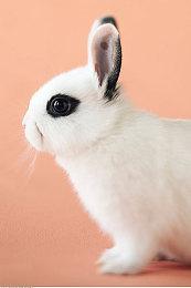 外媒评30款值得玩的XSX游戏 《心灵杀手2》等